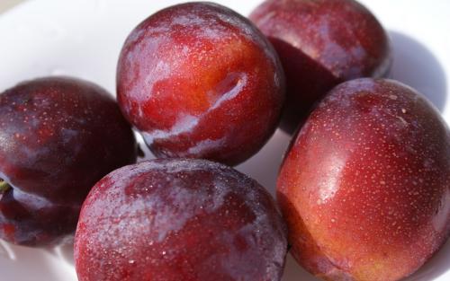 Jubilee plums