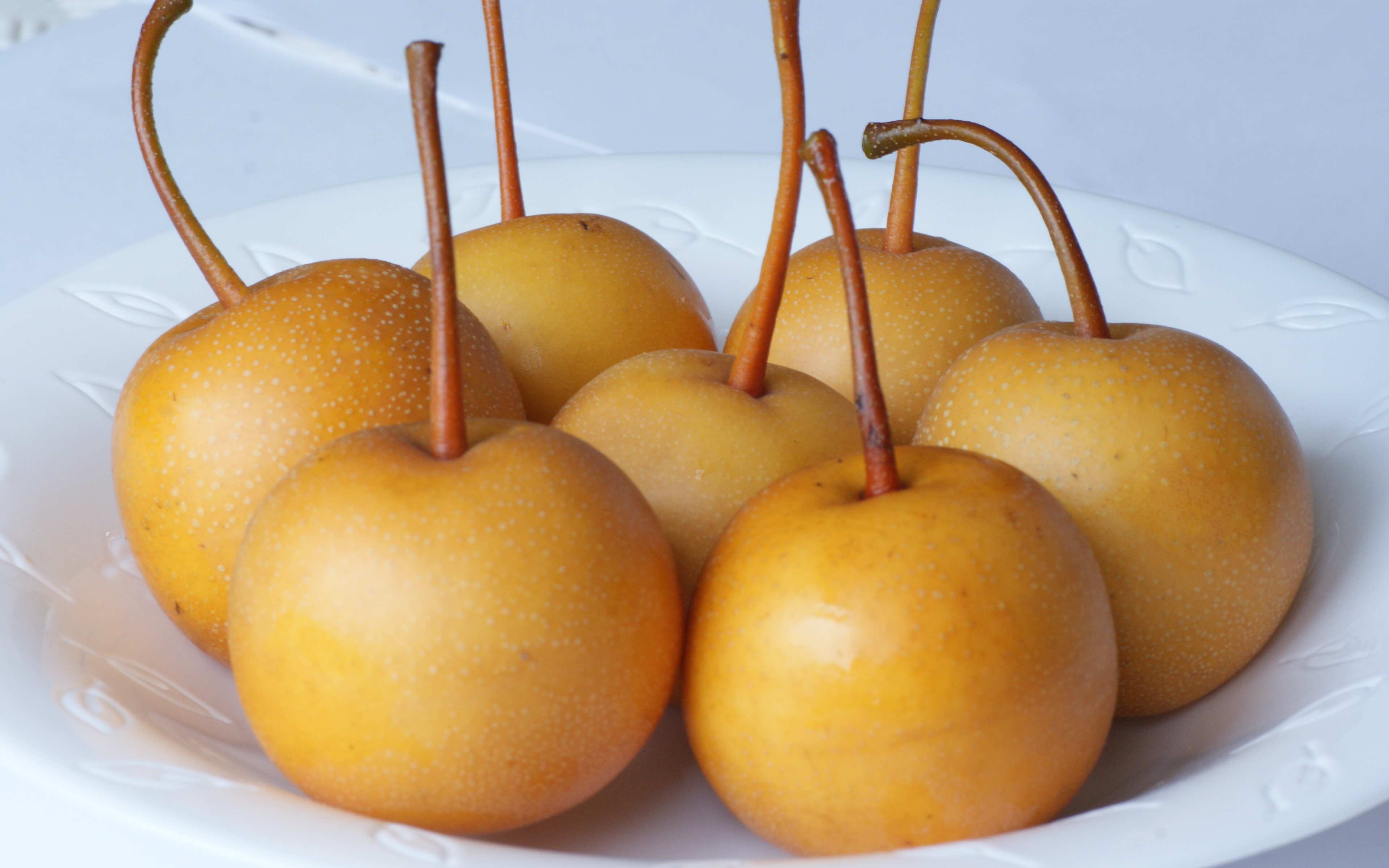 Kumoi asian pear trees