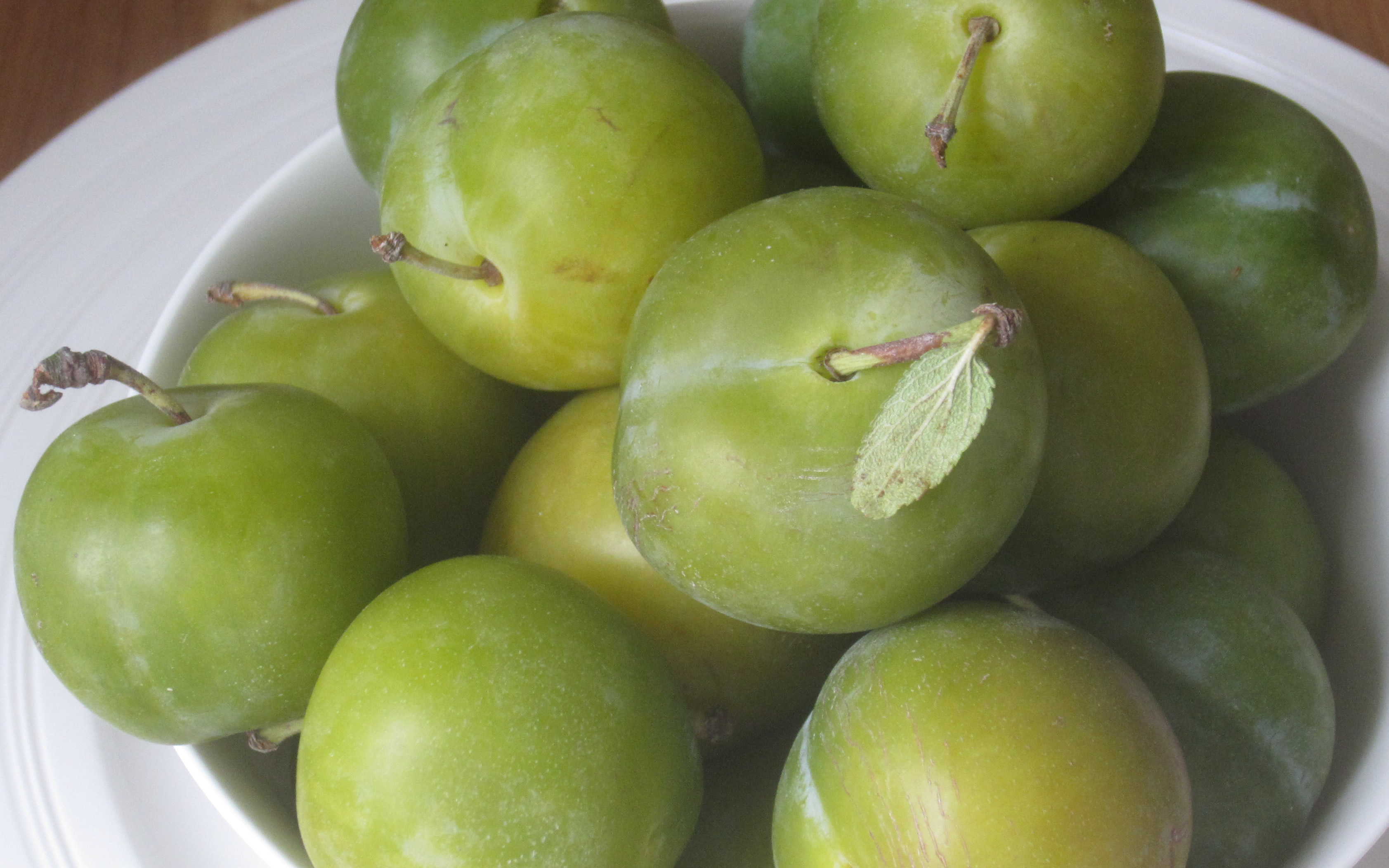 Reine Claude Doree gage trees